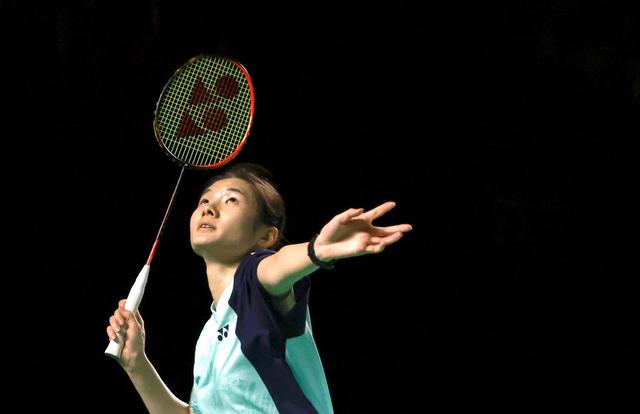 多样化策略 多样化策略